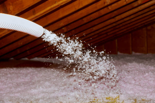 Best DIY Insulation Kits and Guidance in Fernandina Beach, FL
