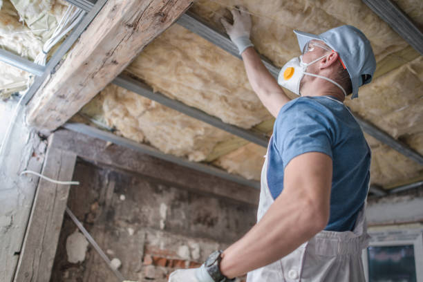 Professional Insulation Contractor in Fernandina Beach, FL