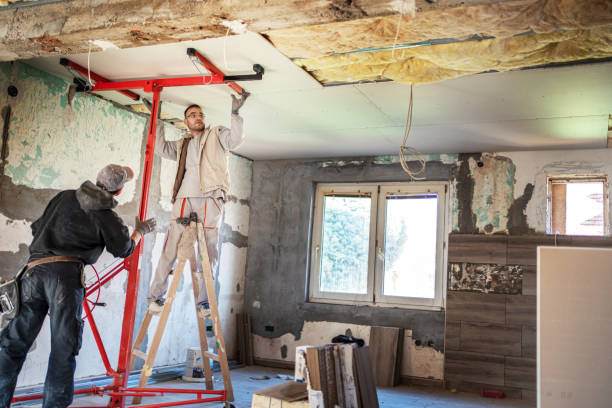 Best Insulation Maintenance and Repair in Fernandina Beach, FL