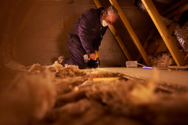 Best Geographic-Specific Insulation Services in Fernandina Beach, FL
